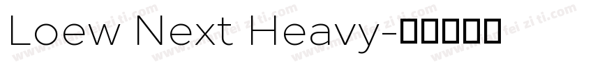 Loew Next Heavy字体转换